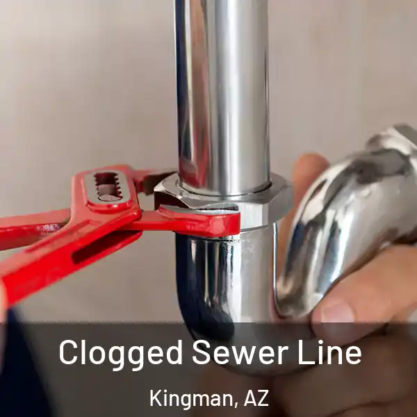  Clogged Sewer Line Kingman, AZ