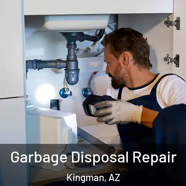 Garbage Disposal Repair Kingman, AZ