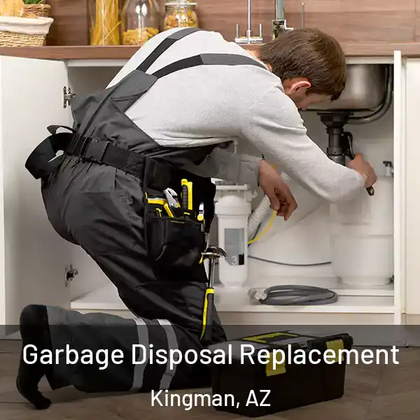  Garbage Disposal Replacement Kingman, AZ