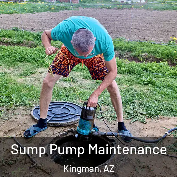  Sump Pump Maintenance Kingman, AZ