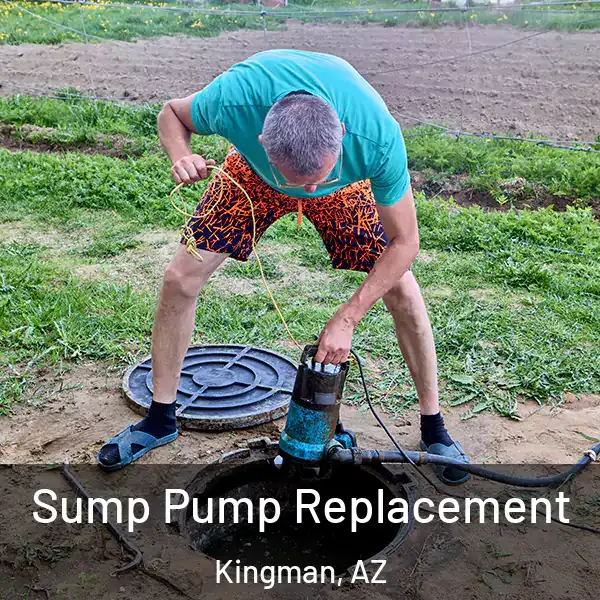  Sump Pump Replacement Kingman, AZ