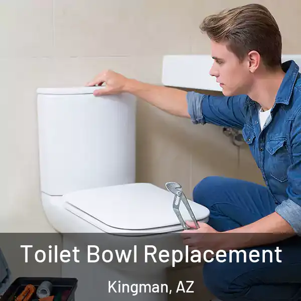  Toilet Bowl Replacement Kingman, AZ