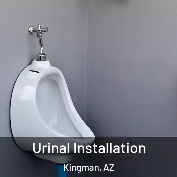  Urinal Installation Kingman, AZ